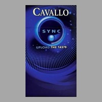 Cavallo Sync ОАЭ